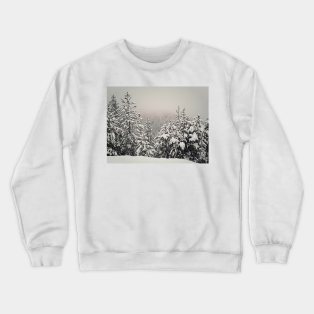 foggy fir forest Crewneck Sweatshirt by psychoshadow